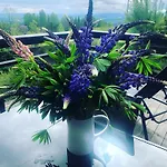 Casa Steinbekken, Rom Inkl Morgenkaffe For Par Og Kvinner Med Felles Toalett Eidsvoll