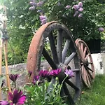 בית אירוח Casa Steinbekken, Rom Inkl Morgenkaffe For Par Og Kvinner Med Felles Toalett Eidsvoll