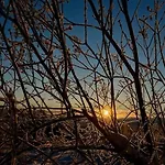 Casa Steinbekken, Rom Inkl Morgenkaffe For Par Og Kvinner Med Felles Toalett * Eidsvoll