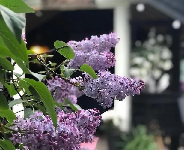 Casa Steinbekken, Rom Inkl Morgenkaffe For Par Og Kvinner Med Felles Toalett
