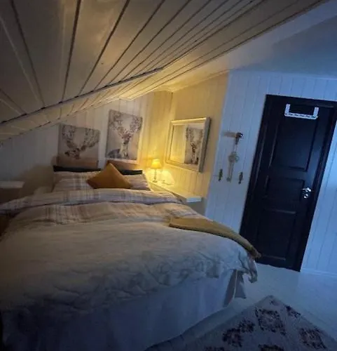 Casa Steinbekken, Rom Inkl Morgenkaffe For Par Og Kvinner Med Felles Toalett Séjour chez l'habitant *